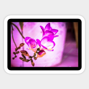 Flower Art photography. Artwork art Sticker